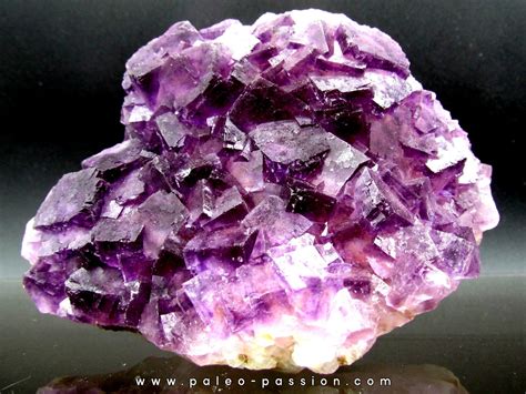 purple fluorite - Fonsante - FRANCE