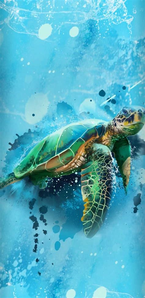 Turtle Wallpaper Discover more Background, Cartoon, Cute, Desktop ...