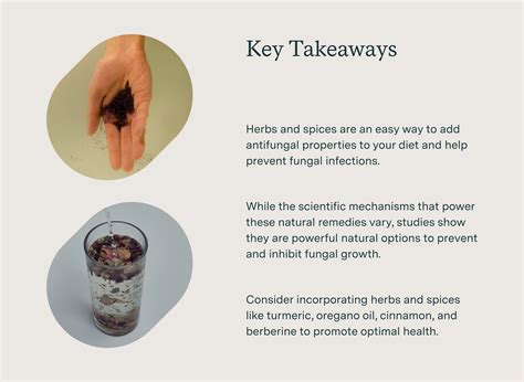 What Are the Most Effective Natural Antifungal Herbs and Supplements?