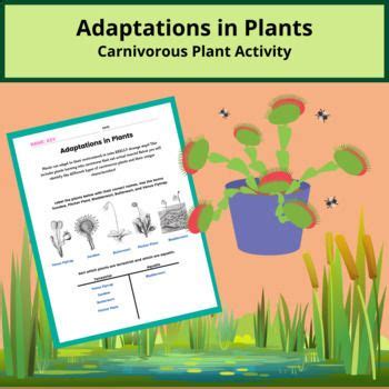 Traits and Adaptations in Plants - Photosynthesis & Carnivorous Plants Activity | Plant ...