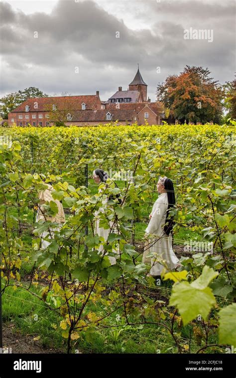 The Netherlands, Oosterhout, Sint Catharinadal, religious order called Norbetine. Monastic ...