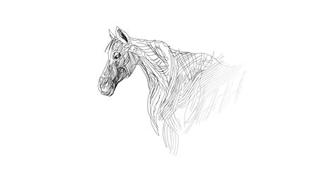 dead horse » drawings » SketchPort