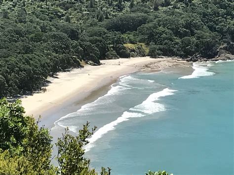 Visit Waihi Beach: 2024 Travel Guide for Waihi Beach, Bay of Plenty Region | Expedia