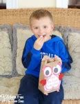 Valentine Owl Craft - Paper Treat Bags with a Free Printable! - Kitchen ...