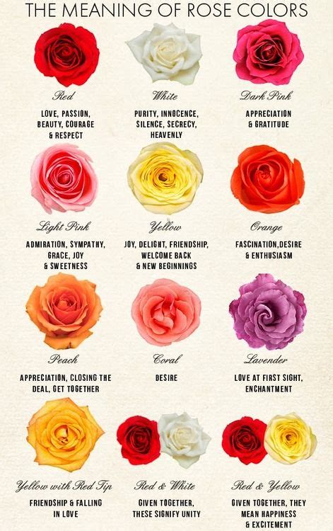 The Meaning of Rose Colors. | Girly girl | Pinterest | Be cool, Stand ...