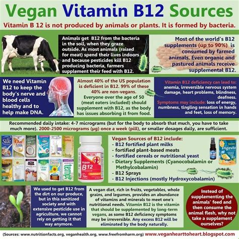 Vegan B12 Sources | Vegan b12 sources, Vegan vitamins, Vegan b12