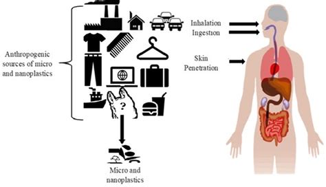 Sources and human exposure pathways to micro (nano) plastics ...