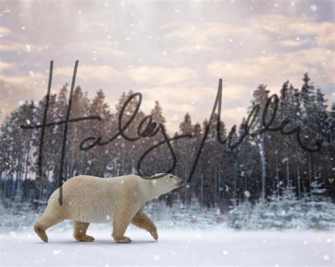 Polar Bear in Falling Snow Winter Scene Digital | Etsy