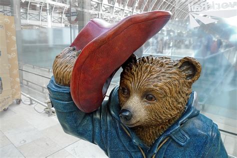 What You Didn't Know About Paddington Bear and His Peruvian Roots