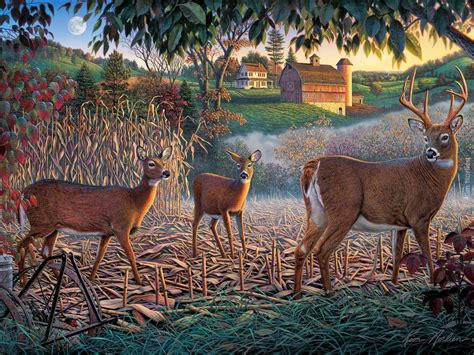 FIELD OF DREAMS by artist Kim Norlien | Wildlife art, Art, Deer art