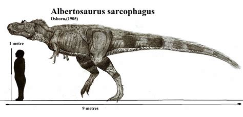 Albertosaurus