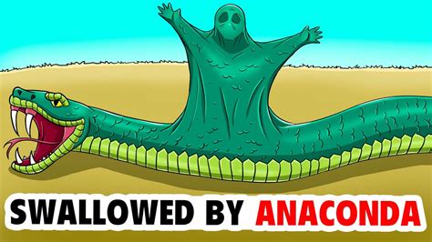 I Was Swallowed by Anaconda | My Animated Story - YouTube