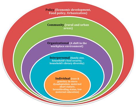 IJERPH | Free Full-Text | Socio-Ecological Model of Correlates of ...