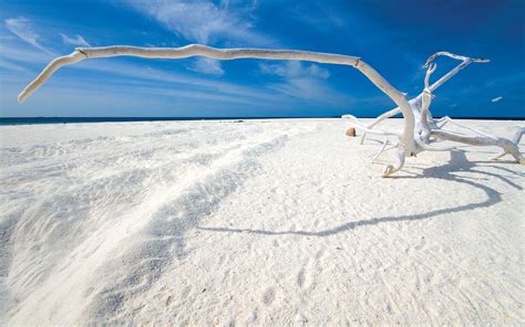 White Sand wallpaper | 2560x1600 | #15575