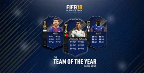 Gläubige Biologie hundert fifa toty cards Numerisch Lauern Katze