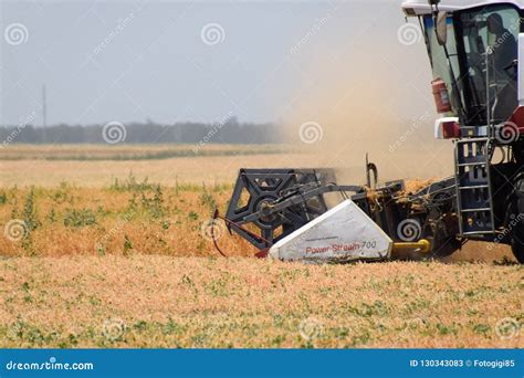 Harvesting Peas with a Combine Harvester. Harvesting Peas from the Fields Editorial Stock Photo ...