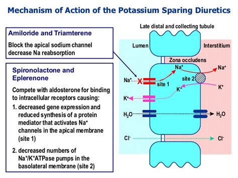 Drugs acting on the kidney lectures 1 and 2