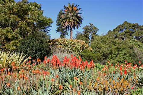 Botanic Gardens | Sydney Tips