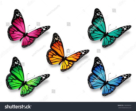 Group Of Butterflies, Isolated On White Background Stock Photo 106990652 : Shutterstock