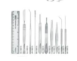 Dissection Equipment | Fisher Scientific