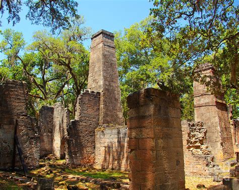 Bulow Plantation Photograph by Nancy L Marshall | Pixels