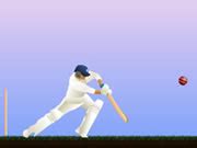 Howzat Cricket - Play Online Games