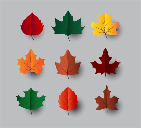 maple leaves vector set. autumn 4909854 Vector Art at Vecteezy