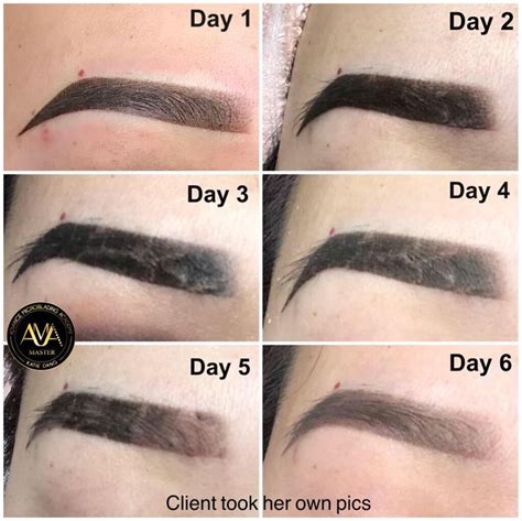 Pin on Microblading101.