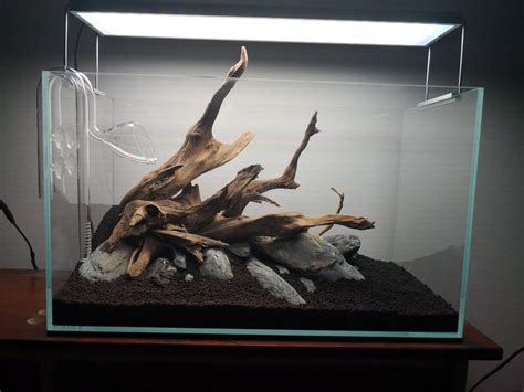 aquascape 60P, hardscape. driftwood | Fresh water fish tank, Aquascape aquarium, Aquarium fish tank