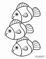 Top 100 fish coloring pages Cute Free Printables At PrintColorFuncom sketch template