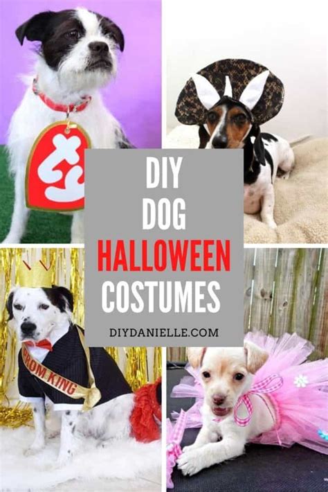 Adorable Dog Halloween Costumes To DIY That Are Budget-Friendly