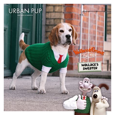 Wallace & Gromit dog raincoats and accessories - Pet Product Marketing