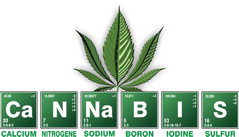 The Best Nutrients for Growing Healthy Cannabis Plants!