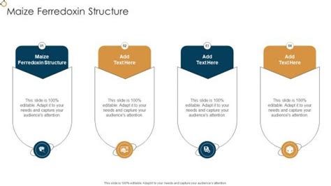 Maize Ferredoxin Structure PowerPoint Presentation and Slides PPT Slide ...