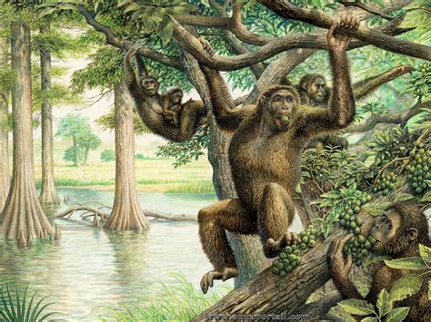 The Miocene Era: climate, life and more! | Explified