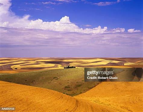 1,214 Palouse Hills Stock Photos, High-Res Pictures, and Images - Getty ...