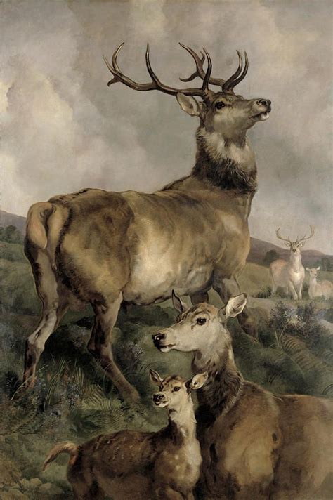 Sir Edwin Landseer | Animal paintings, Deer art, Animal art