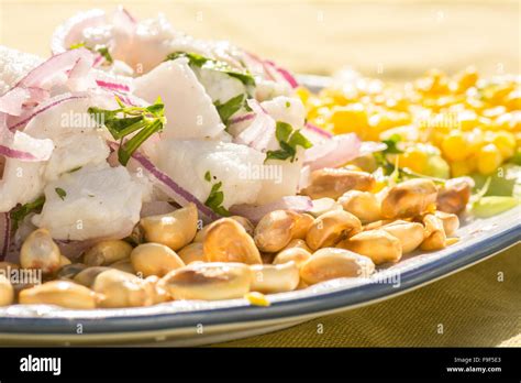 Close-up de típico plato de Ceviche de pescado peruano con Cancha (maiz ...