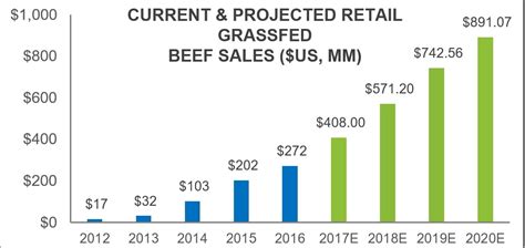 Beef Production: Grass-Finished Beef vs. Grain-Finished Beef — Harvest ...