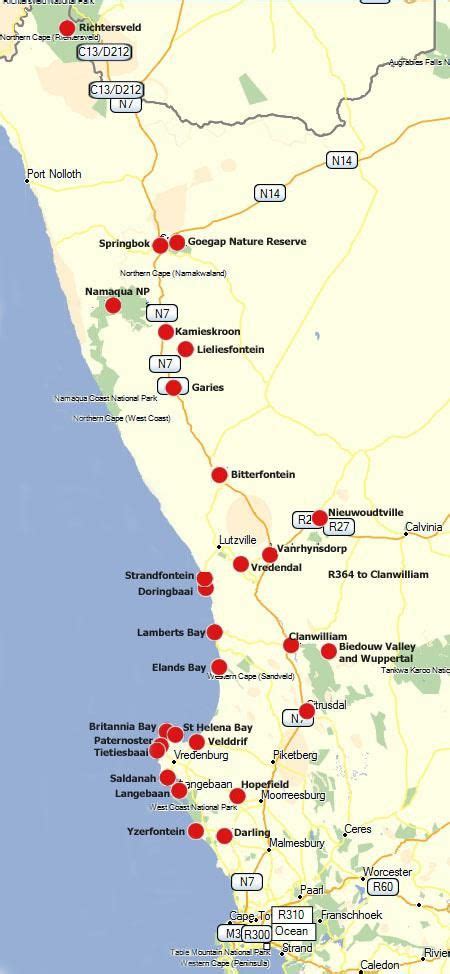 Self Drive the Cape Flower Route, West Coast and Namaqualand | Afrika, Reisen, Urlaub