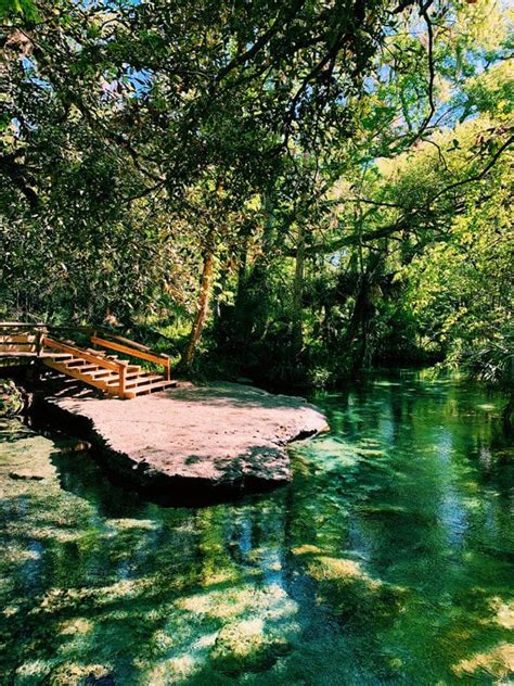 Rock Springs Kelly Park, Florida - Grilled Cheese Social