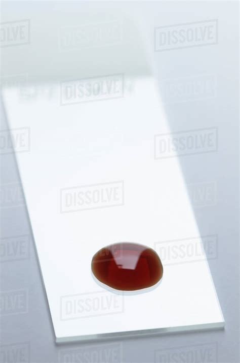 (Synthetic) Blood drop on a microscope slide - Stock Photo - Dissolve