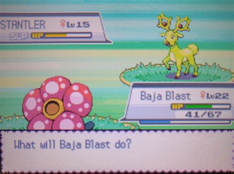 [gen4] Random encounter shiny Stantler on the way to today's bug ...