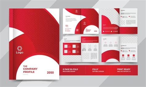 8 Page Brochure Vector Art, Icons, and Graphics for Free Download