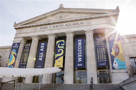 Shedd Aquarium to Replace Tiered Pricing with Flat Fee | Chicago News | WTTW