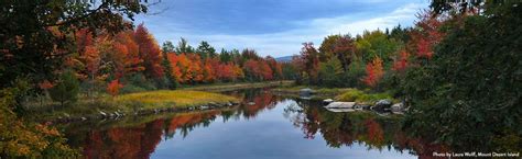 MaineFoliage.com - Maine's Official Fall Foliage Website