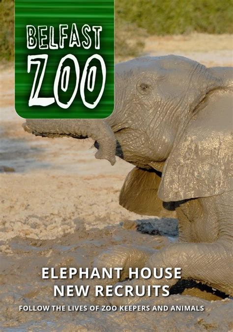 Amazon.com: Belfast Zoo: Elephant House New Recruits : BBC N Ireland ...