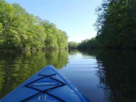 Mark & Teri's Travels: Kayaking the Mobile-Tensaw River Delta