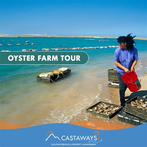 Rocky Point Activities - Oyster Farm Tour, Sonoran Spa Puerto Peñasco ...