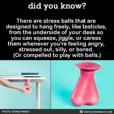 Pin by Mike Smith on Hilarious | Stress balls, Tumblr funny, Stressed out